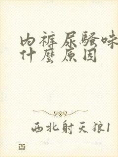 内裤尿骚味重是什么原因