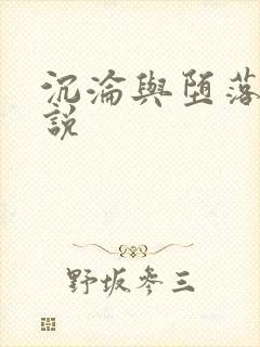 沉沦与堕落的小说