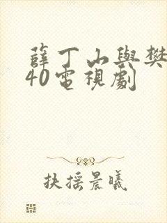 薛丁山与樊梨花40电视剧