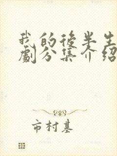 我的后半生电视剧分集介绍