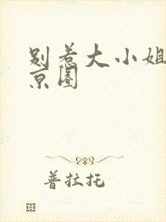 别惹大小姐,她京圈