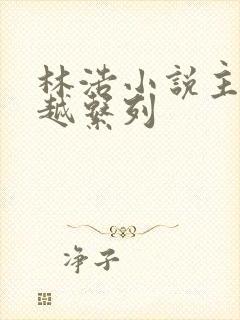 林浩小说主角穿越系列