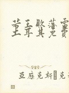 若王败落电视剧土耳其免费完整版