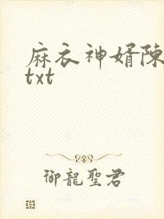 麻衣神婿陈黄皮txt