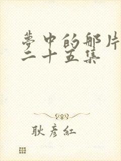 梦中的那片海第二十五集