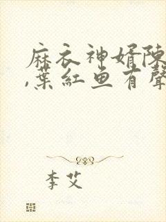 麻衣神婿陈黄皮,叶红鱼有声小说