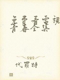 免费看电视剧正青春全集