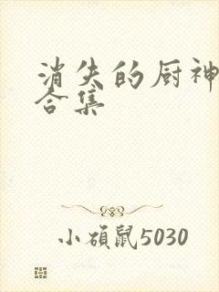 消失的厨神短剧合集