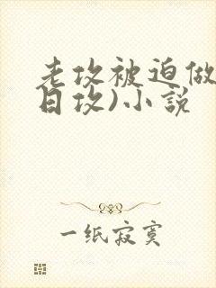 老攻被迫做零(日攻)小说