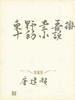 东野圭吾排名前十的小说