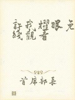 许我耀眼免费在线观看