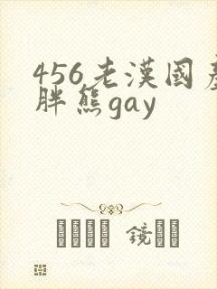 456老汉国产胖熊gay