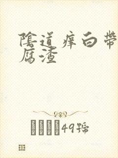 阴道痒白带是豆腐渣封面