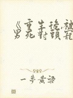 《重生后,被渣男死对头宠上天》封面