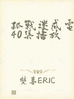 孤战迷成电视剧40集播放