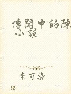 传闻中的陈芊芊 小说封面