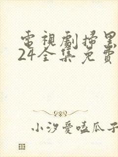 电视剧扫黑风暴24全集免费观看