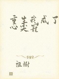 重生我成了前夫心尖宠