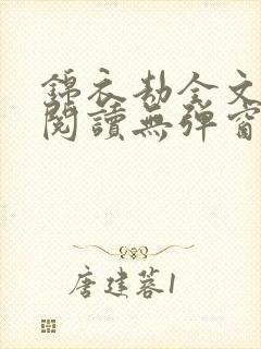 锦衣劫全文免费阅读无弹窗封面