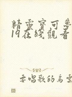 精灵宝可梦2019在线观看免费