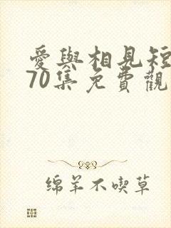 爱与相见短剧第70集免费观看