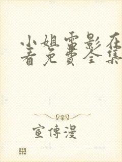 小姐电影在线观看免费全集高清版下载