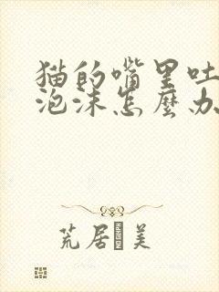 猫的嘴里吐白色泡沫怎么办