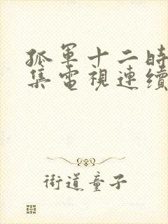 孤军十二时24集电视连续剧封面