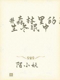 #森林里的熊先生冬眠中