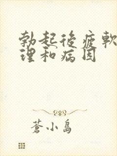 勃起后疲软的调理和病因