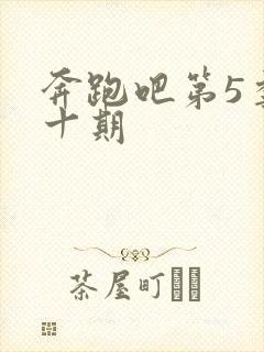 奔跑吧第5季第十期