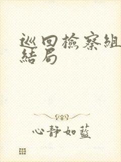 巡回检察组最后结局封面