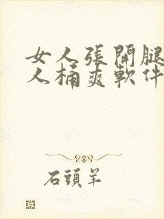 女人张开腿让男人桶爽软件