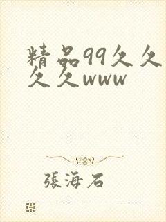 精品99久久久久久www封面