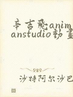 辛吉飞animanstudio动画免费观看高清