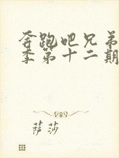 奔跑吧兄弟第五季第十二期封面