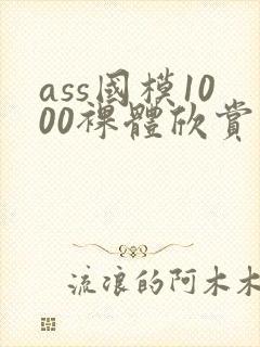 ass国模1000裸体欣赏