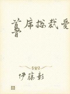 首席总裁爱你入骨