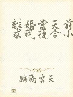 离婚当天前夫跪求我复合小说封面