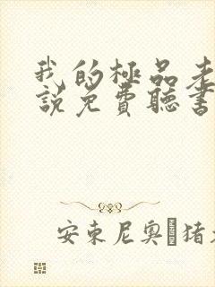 我的极品老婆小说免费听书