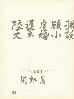 陆迟虞顾渊年代文军婚小说封面