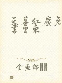 天幕红尘免费听书曹东