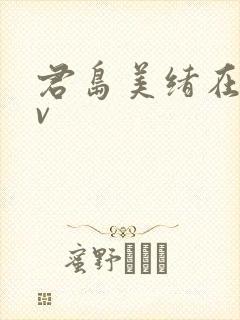 君岛美绪在线av