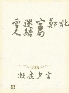 雪迷宫郑北家里人结局封面