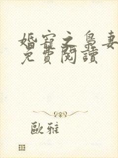 婚宠之枭妻霸爱免费阅读