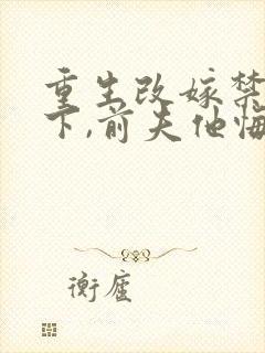 重生改嫁禁欲殿下,前夫他悔红眼