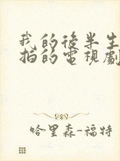 我的后半生哪年拍的电视剧