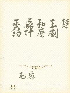 丞磊和王楚然演的什么剧