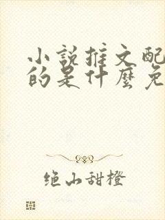 小说推文配音用的是什么免费软件封面