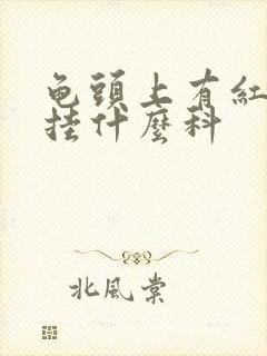 龟头上有红斑点挂什么科封面